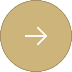 Navigation-Right-Btn