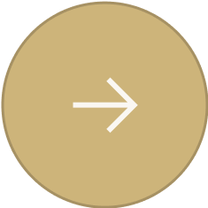 Navigation-Right-Btn